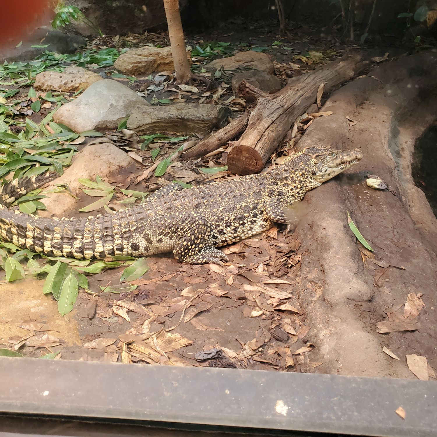 Sedgwick County Zoo 